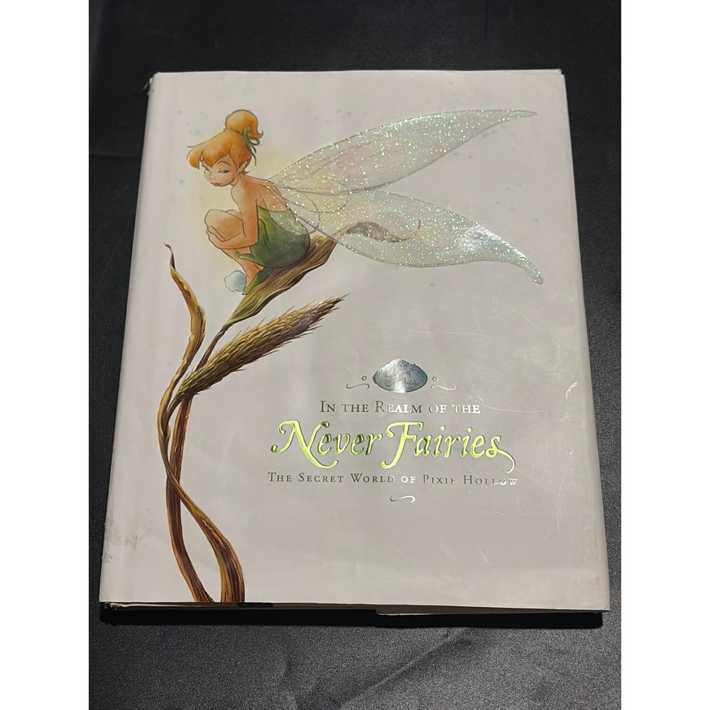 Disney In the Realm of the Never Fairies Pixie Hollow 1st Ed Tinker Bell HC DJ